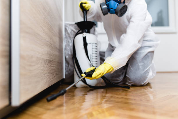 Best Pest Prevention Services  in Temecula, CA
