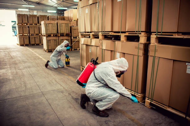 Professional Pest Control in Temecula, CA